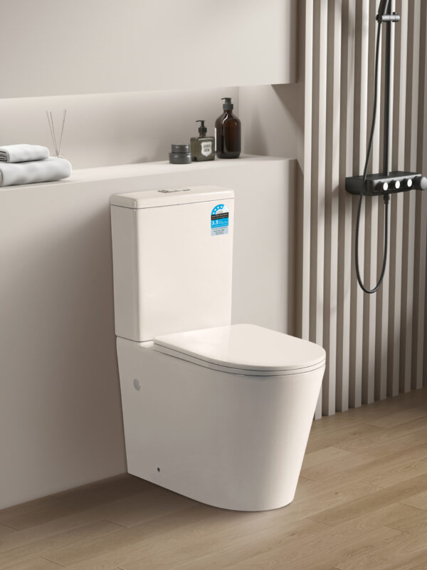 Avis Rimless Flush Pan