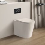 Avis Wall Faced Floor Rimless Flush Pan
