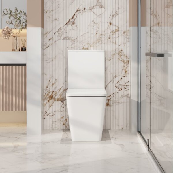 Enox Back-to-Wall Toilet Suite - Image 2