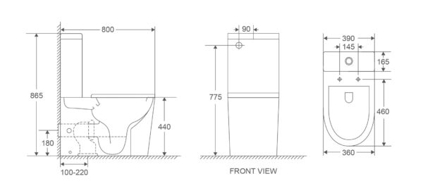 Pani Care-Accessible Back-to-Wall Toilet - Image 5