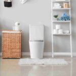 Pani Back-to-Wall Toilet Suite - Image 4