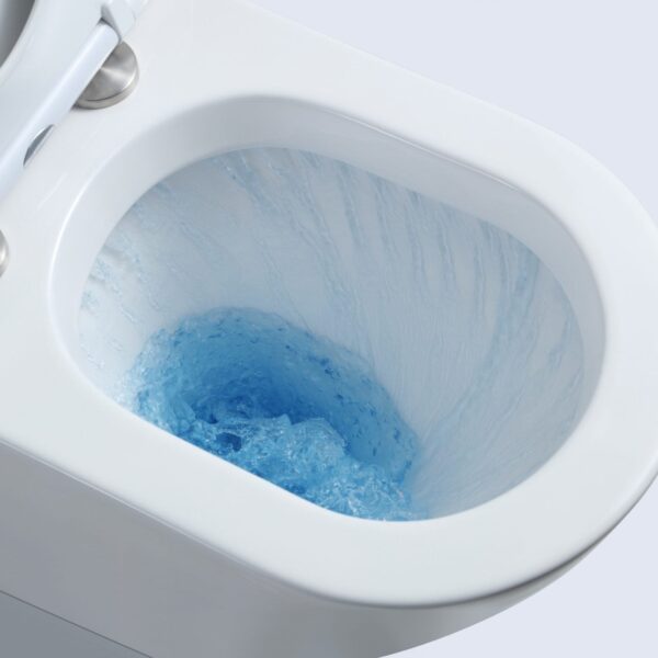 Vera Back-to-Wall Toilet Suite - Image 4
