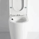 Walton Back-to-Wall Toilet Suite - Image 7
