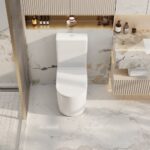 Walton Back-to-Wall Toilet Suite - Image 3